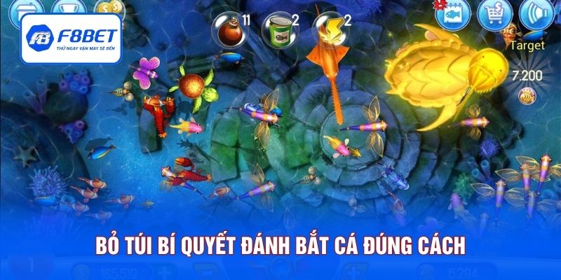 Bỏ túi bí quyết đánh bắt cá đúng cách