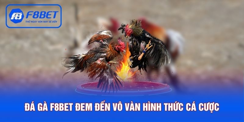 Đá gà F8BET đem đến vô vàn hình thức cá cược