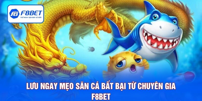 Lưu ngay mẹo săn cá bất bại từ chuyên gia F8BET