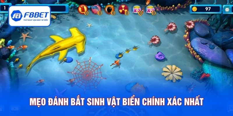Lưu ngay mẹo đánh bắt sinh vật biển chính xác nhất
