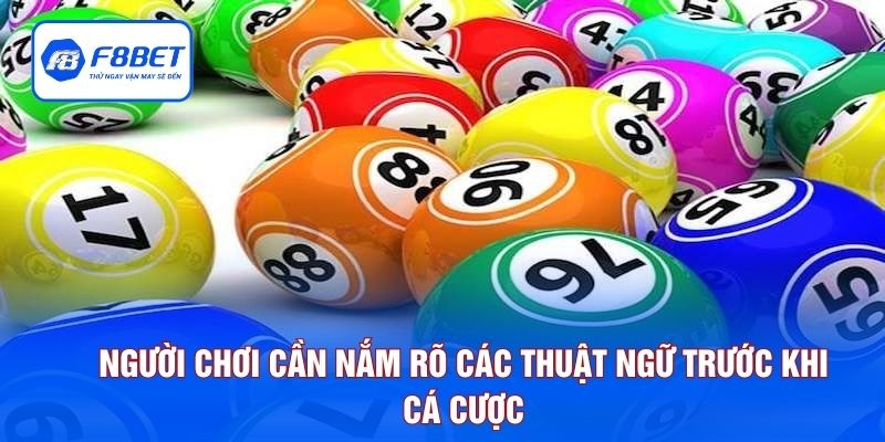 Người chơi cần nắm rõ các thuật ngữ trước khi cá cược
