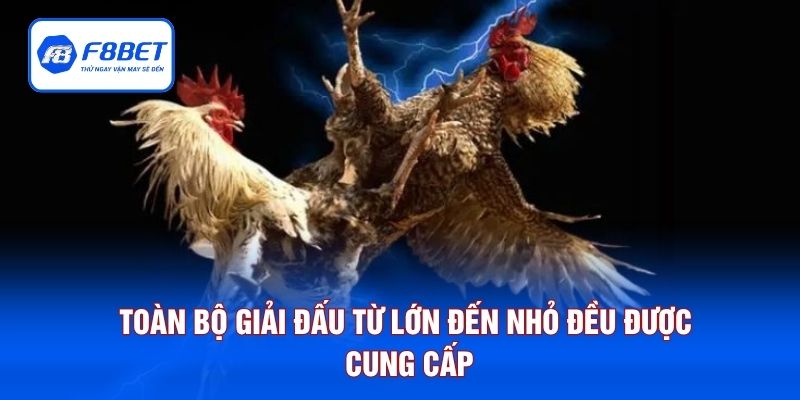 Toàn bộ giải đấu từ lớn đến nhỏ đều được cung cấp